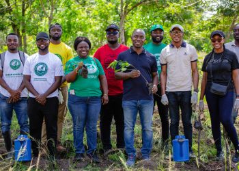 CBOD plants one thousand trees in support of Green Ghana Initiative