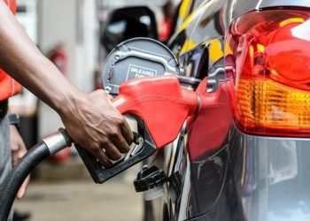 Market Outlook – 1st to 15th October 2025 Pricing Window