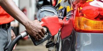 Market Outlook – 1st to 15th October 2025 Pricing Window