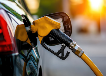 Market Outlook – 16th to 30th September 2025 Pricing Window