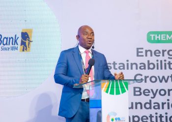 Innovative Financing and Cooperation Key to Africa’s Energy Future