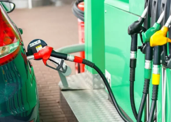 Market Outlook – 1st to 15th December 2025 Pricing Window