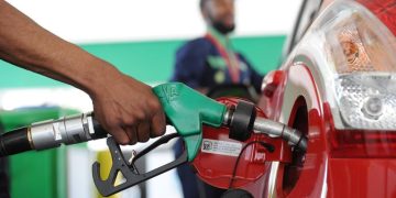 Market Outlook – 1st to 15th March 2026 Pricing Window